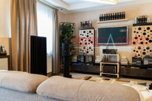 living room with acoustic panels-Acoustic measurement