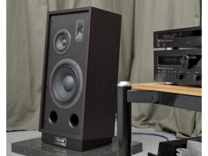 magnat-transpuls1000-speaker