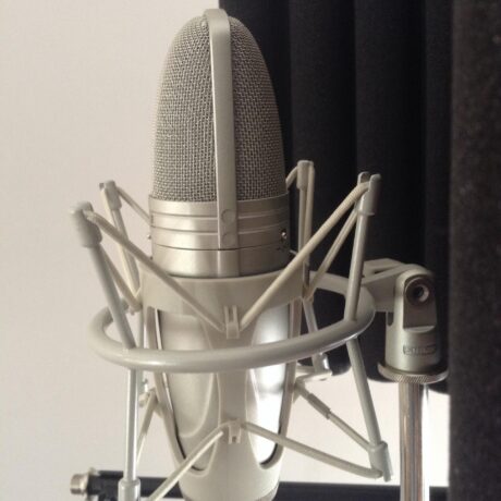Shure KSM44A And Neumann TLM102 Studio Microphones Test