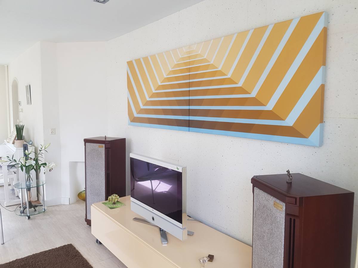 acoustic wall panels in the living room